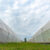 Greenhouses projects in Türkiye